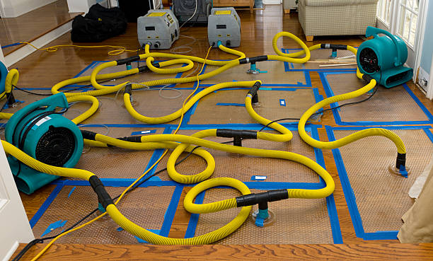 Professional Basement Flood Cleanup technician working in Elka Park, NY
